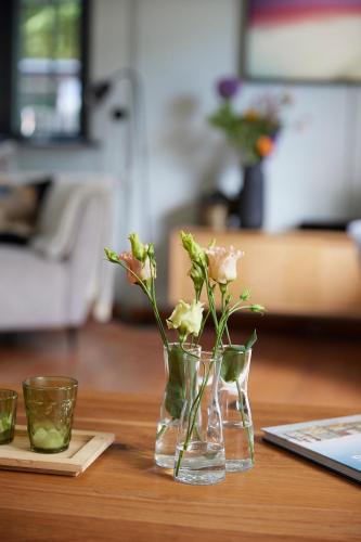 MeinNest31 MeinNest31