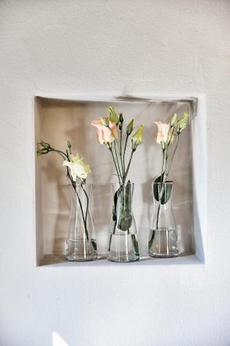 MeinNest31 MeinNest31