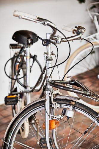 MeinNest31 MeinNest31