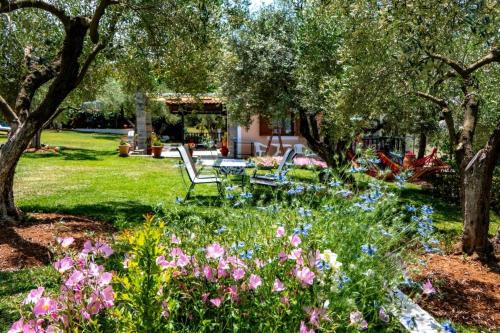 Small Paradise, Nikiti (fotografie 3)