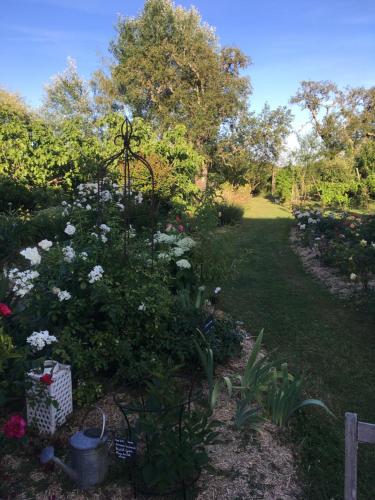 Domaine de la Botterie in Azay Le Ferron