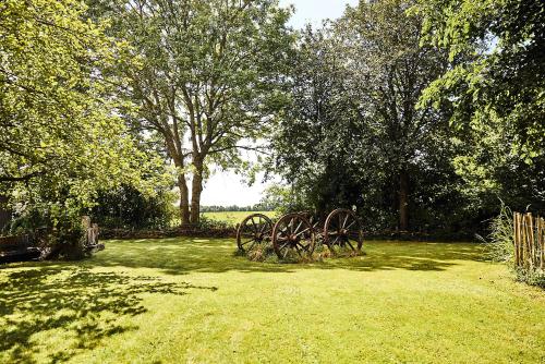 MeinNest31 MeinNest31