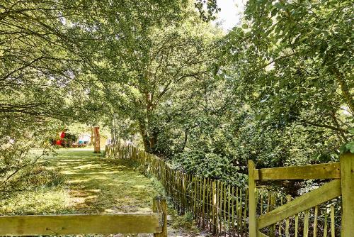 MeinNest31 MeinNest31