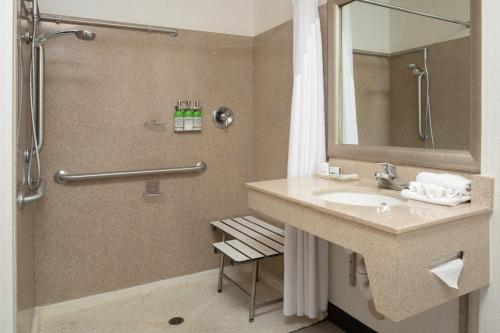 King Suite with Bath Tub - Disability Access/Non-Smoking 