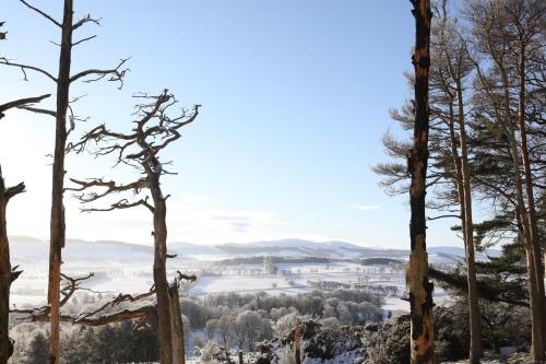 Garden Studio in Biggar