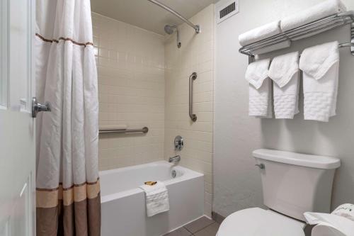 Executive Queen Room with Roll-In Shower - Mobility Accessible/Non-Smoking