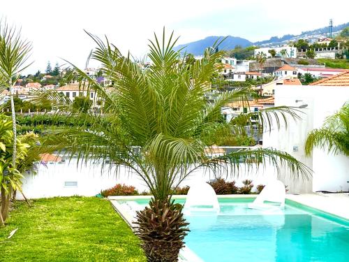  Susy’s Garden in Funchal