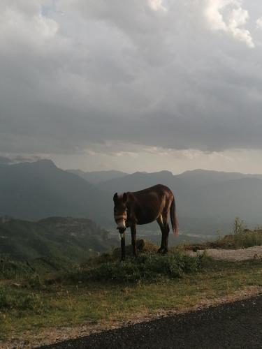 Meteora's sunset