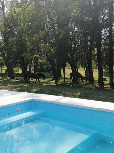 Cabaña de Campo - Valle de Calamuchita - Sierras de Córdoba