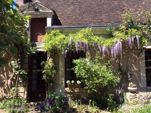 Coté Jardin - Chambre d'hôtes - Villiers-sur-Loir