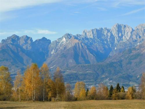 Scenic holiday home in Belluno with shared garden