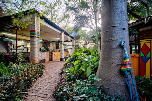 Bejárat, Shoestrings Backpackers  near Victoria Falls repülőtér