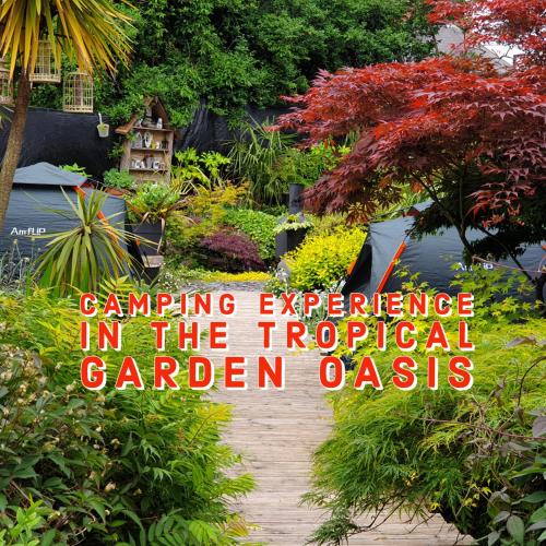 Tropical Garden Oasis Rooms, Birmingham (fotografie 7)