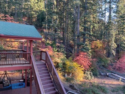 YoBee! Park Reservation Included! Heart of Yosemite - Homey Studios and Breakfast YoBee! Park Reservation Included! Heart of Yosemite - Homey Studios and Breakfast