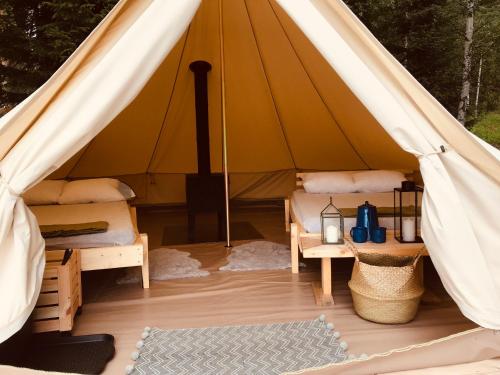 Glamping tent in a forest, lake view