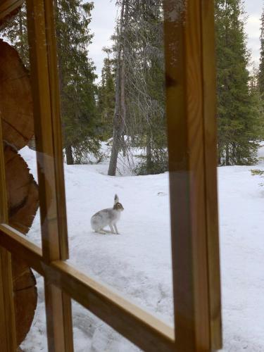 Logwood Chalet