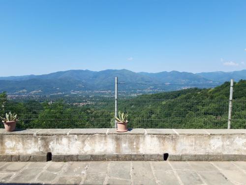 La Romanina, Massa Carrara