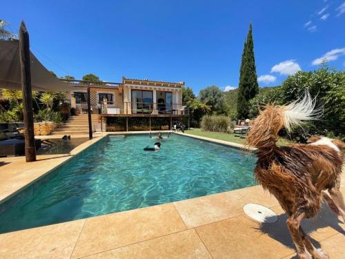 El Paraiso de los Perros gîte à louer Benimantell