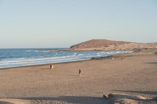 Hotel Playa Sur Tenerife - image 9