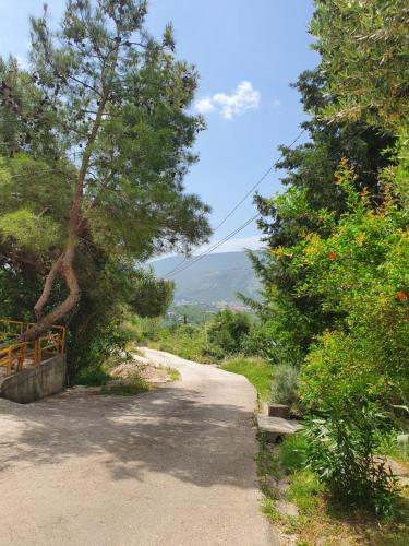 Surrounding environment, Villa RADA in Ratisevina