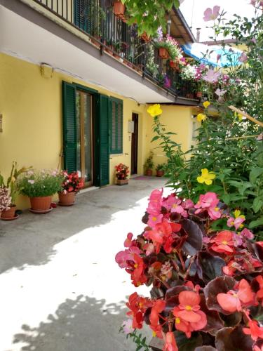  Giallo Sole in Colleferro