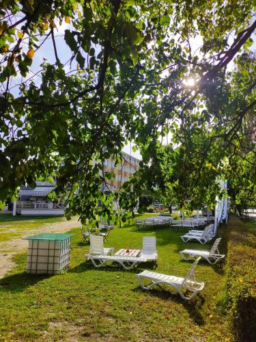 Garden, Sopocki Zdrój in Sopot