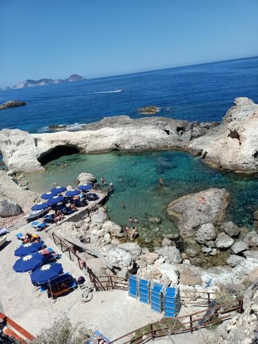 Il monolocale verde conchiglie e fiori, Ponza Island, Italy