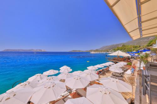 Hotels Image