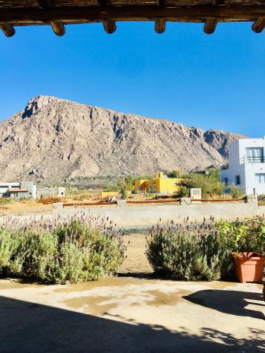 Los Aromos 1