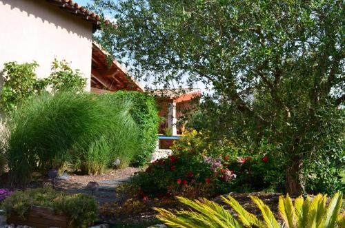 Les Terrasses de L'Oliu de L'Oustalet