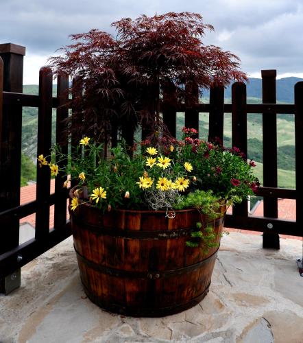 Eureka Room & Breakfast