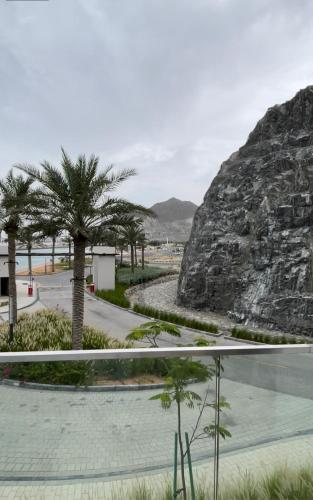 Apartments with three bedrooms at address hotel Fujairah
