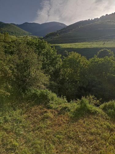 AMOJ B&B and Guest house - main image