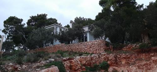  Tigrich Apartments in Sveta Nedelja