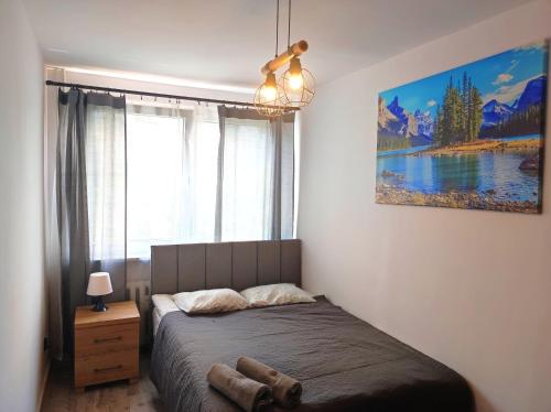 Three-Bedroom Apartment - Łaciarska 11 Street