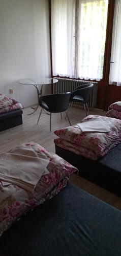 Družstevní dům Choustník (Druzstevni dum Choustnik) in Jindrichuv Hradec