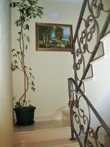 Holiday Home By The Sea--Bougainvillea