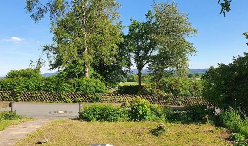 福尔 Grune Haus 4星级 单人房 景观