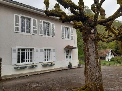 Les Tilleuls gîte à louer Jura