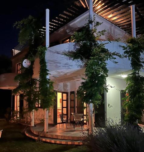 Green Villa in Olives Podgorica 