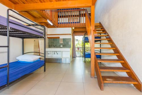 Aquarius Backpacker Resort Room Type - Bed in 10-Bed Mixed Split Level Dormitory Room (ages 18-35 years only)
