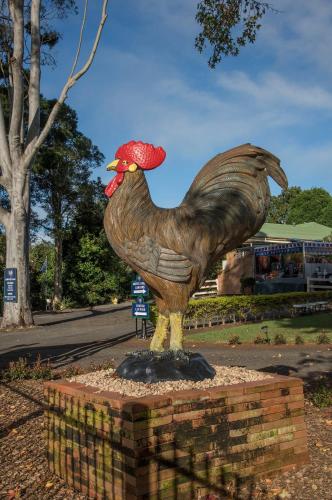 Maleny Hills Motel