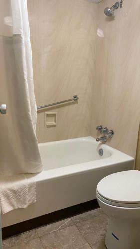 Quality Inn Rome- Verona - image 6