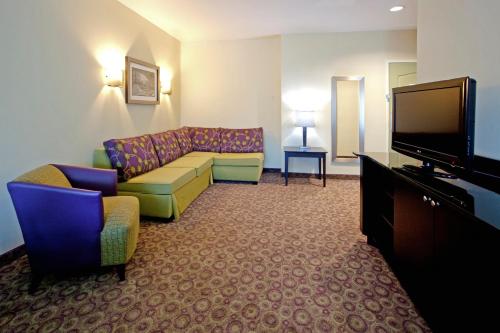 Holiday Inn Express Hotel & Suites Clemson - University Area, an IHG Hotel