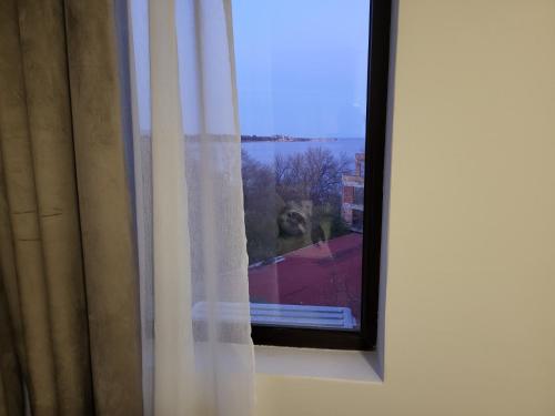 Apartment on the beach 2, Rawda (Foto 8)
