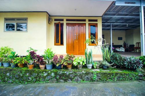 OYO HOMES 91242 Desa Wisata Cibuntu Kuningan Syariah