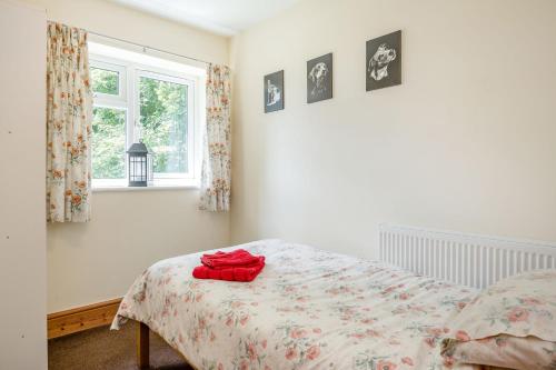 Sunshine Lodge - main image