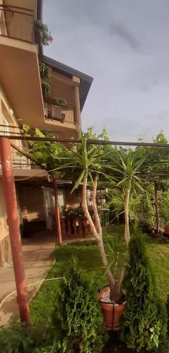 Apartments Stefan Trpejca in Trpejca