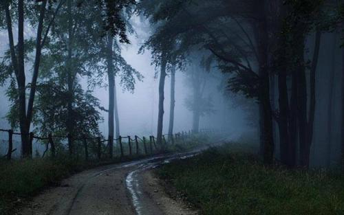 Odyssey Stays Kurseong photo