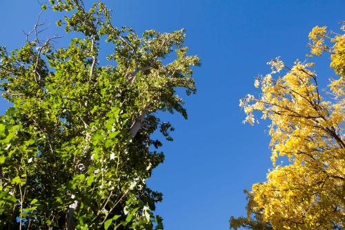 斯特拉叶大篷车公园度假村